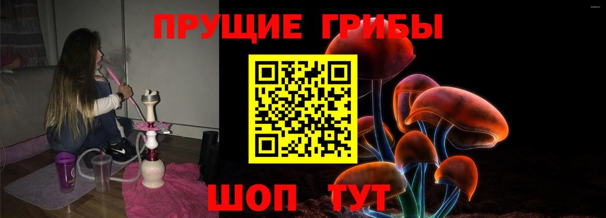 Галлюциногенные грибы MAGIC MUSHROOMS  Вход с VPN  Глазов 